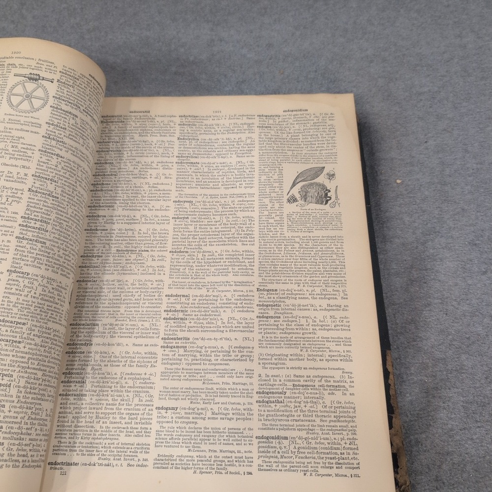 The Century Dictionary and Cyclopedia Volume III 1906 Droop-EFG Leather Antique - Picture 6 of 8